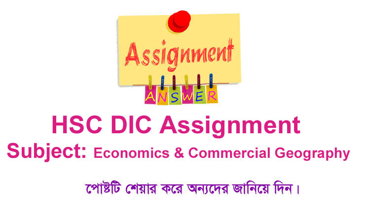 HSC BM Economics and Commercial Geography Assignment Answer