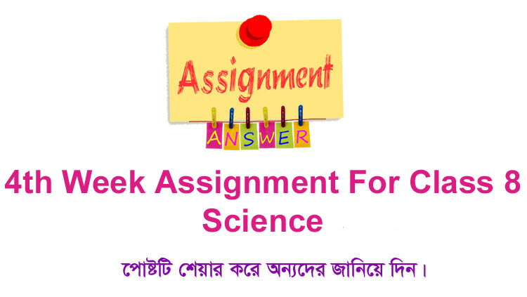 4th assignment class 8 science