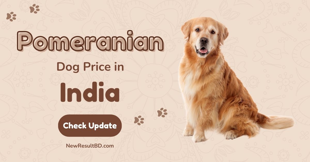 Pomeranian Dog Price in India - Latest Price on January 4, 2023