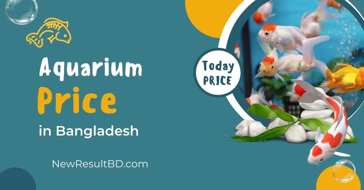 aquarium price in bangladesh