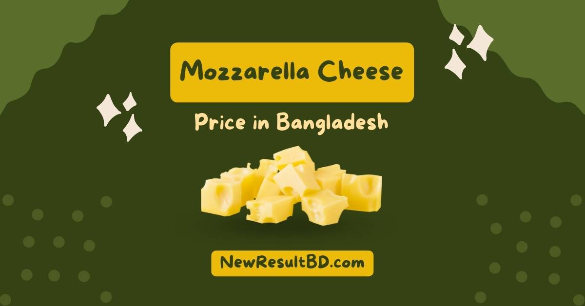 mozzarella cheese price in bd