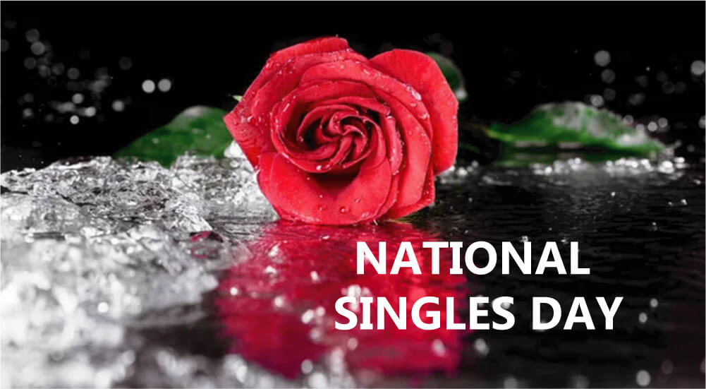 National Singles Day 2022 Wishes, Messages, Quotes